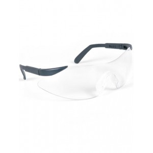 EVA86 - LUNETTES A BRANCHES...